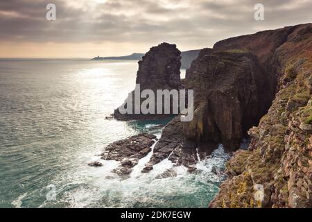 Klippen und Vogelschutzgebiet am Cap Frehel, Bretagne, Frankreich Stockfoto