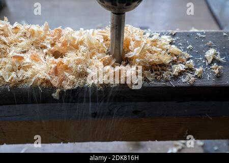 Holzverarbeitung, Bohrer, Bohren, hautnah mit Textfreiraum Stockfoto