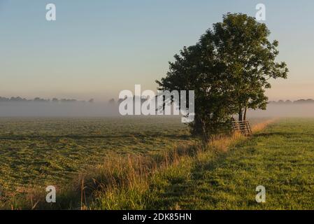 Ein Tag in Holland: Sonnenaufgang im Polder, Citywalk in Dordrecht. Stockfoto