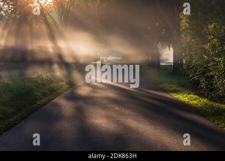 Ein Tag in Holland: Sonnenaufgang im Polder, Citywalk in Dordrecht. Stockfoto