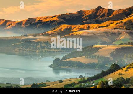 Morgennebel, Banks Peninsula, Canterbury, Südinsel, Neuseeland, Ozeanien Stockfoto