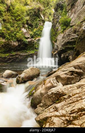 Wainui Falls, Wainui Falls Track, Golden Bay, Tasman, Südinsel, Neuseeland, Ozeanien Stockfoto