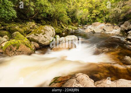 Wainui River, Wainui Falls Track, Golden Bay, Tasman, Südinsel, Neuseeland, Ozeanien Stockfoto