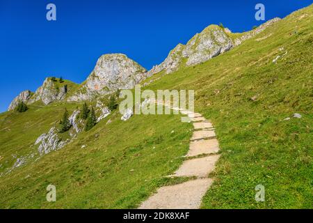 Deutschland, Bayern, Oberbayern, Oberland, Bayrischzell, Rotwand Area, Rotwand Stockfoto