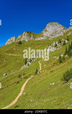 Deutschland, Bayern, Oberbayern, Oberland, Bayrischzell, Rotwand Area, Rotwand Stockfoto