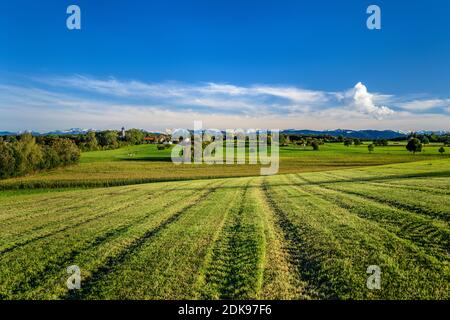 Deutschland, Bayern, Oberbayern, Tölzer Land, Dietramszell, Kreis Lochen, Kulturlandschaft und Stadtansicht mit St. Magdalena Kirche vor den Ausläufern der Alpen Stockfoto