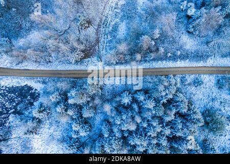 Windige Winterstraße in schneebedecktem Wald, von oben aus Luftbild. Stockfoto