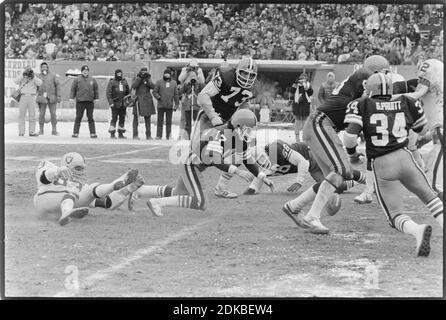 Cleveland Browns Quarterback Brian Sipe (17) jagt einen Fumble während des Playoff-Spiels gegen die Oakland Raiders im Cleveland Stadium am 4. Januar 1981. Ernie Mastroianni Foto Stockfoto