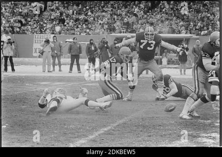 Cleveland Browns Quarterback Brian Sipe (17) jagt einen Fumble während des Playoff-Spiels gegen die Oakland Raiders im Cleveland Stadium am 4. Januar 1981. Ernie Mastroianni Foto Stockfoto