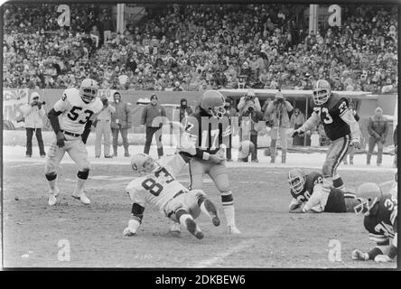 Cleveland Browns Quarterback Brian Sipe (17), nachdem der Ball während des Playoff-Spiels gegen die Oakland Raiders im Cleveland Stadium am 4. Januar 1981 aus den Händen geschleppt wurde. Hinter ihm ist Ted Hendricks von Oakland. Ernie Mastroianni Foto Stockfoto