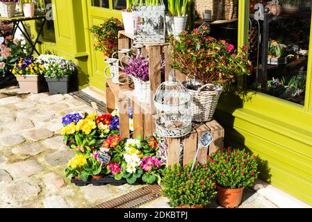 Außerhalb des typischen französischen Blumenladens. Frankreich. Frühling Gartensaison - bunte Primeln, Heidekraut, Stiefmütterchen, Hyazinthen und andere Pflanzen in niedlichen Töpfen. Stockfoto