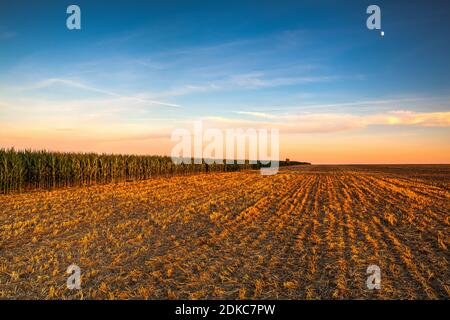 Aussichtsturm zwischen Maisfeld und leerem Feld nach der Ernte. Panoramabild mit gemähtem Weizenfeld bei sonnigem Tag. Tschechische Republik.HDR-Bild Stockfoto