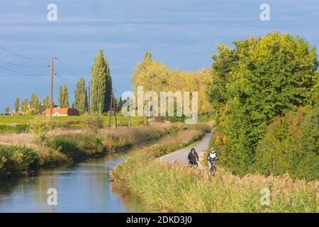 Baden, Wiener Neustädter Kanal, Radfahrer in Wienerwald, Wienerwald, Niederösterreich, Niederösterreich, Österreich Stockfoto