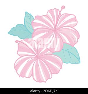 Tropische Blumen Elemente. Sammlung von Hibiskusblüten auf weißem Hintergrund. Vektorgrafik-Paket. Stock Vektor