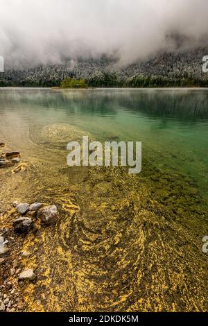 Gelber Pollen von Nadelbäumen driftet im Frühjahr am Ufer des Eibsee im Wettersteingebirge. Im Hintergrund eine kleine Insel mit Blockhütte, Schnee im Wald und einem bewölkten Himmel. Stockfoto