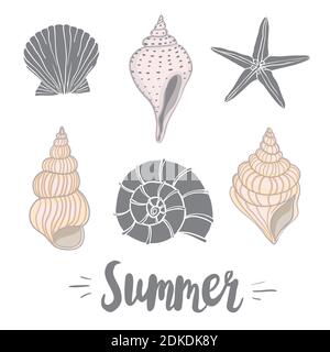 Handgezeichnete Vektor-Illustrationen - Sammlung von Muscheln. Marine-Set. Stock Vektor