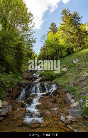 Die Quelle des Glasbaches unterhalb der Benediktenwand in der Jachenau, in den bayerischen Alpen. Bach mit Wasserfall. Stockfoto