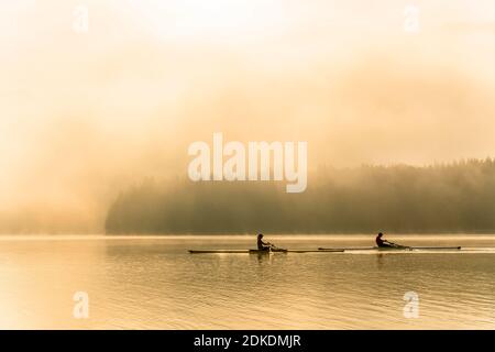 Kajakfahrer oder Rennfahrer genießen eine Fahrt auf dem Sylvensteinspeicher am frühen Morgen bei Sonnenaufgang, bei Nebel und leichter Stimmung. Stockfoto