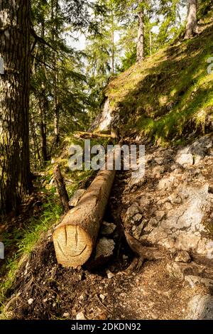 Ein in einen Baumstamm gehauenes Smiley am Wegrand zur Mittenwalder Hütte, oberhalb Mittenwald im Karwendel Stockfoto