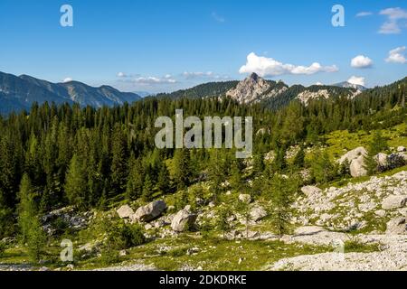 Die Rappenklammspitze (1835m) fotografiert von einem kleinen Anstieg am nördlichen Karwendelgebirge. Im Vordergrund die typische hochalpine Vegetation in unberührter Natur. Stockfoto