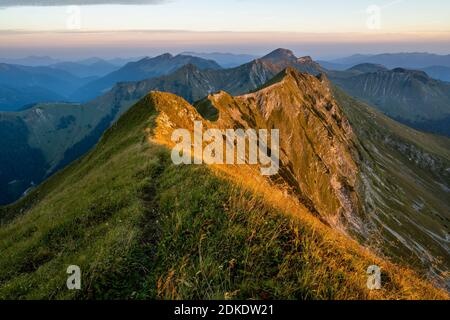 Der Höhenweg auf einer Bergwiese am Gipfel zwischen Sonntagsspitze und Schreckenspitze im Karwendel im warmen Sonnenlicht des Sonnenaufgangs, im Hintergrund das Karwendel und die bayerischen Voralpen. Stockfoto