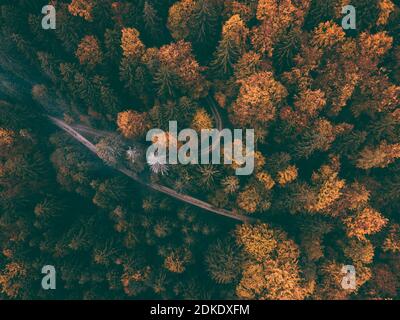 Herbst auf der Schwäbischen Alb, Waldweg, Haarnadelkurve, Luftbild, Baden-Württemberg, Deutschland, Europa Stockfoto