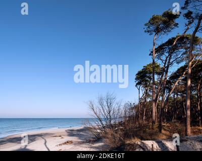 Strand in der Nähe von Ahrenshoop in der Vorpommerschen Lagune National Park mit einem blauen Himmel Stockfoto