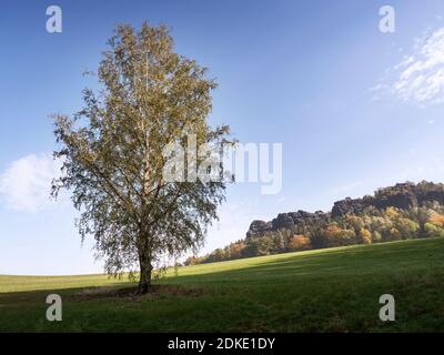 Blick über Wiesen und Felder auf Pfaffenstein in der Elbe Sandstone Mountains Stockfoto