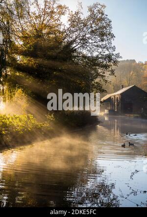 Am frühen Morgen Sonnenschein durch Nebel und Bäume auf der strömenden Cromford Canal im Derbyshire Peak District England Stockfoto