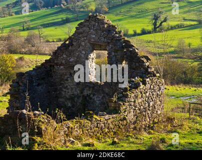 Ruinen einer Steinfeldscheune in der Landschaft bei Parwich Dorf im Peak District National Park Derbyshire Dales England VEREINIGTES KÖNIGREICH Stockfoto