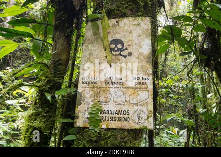 Minenfeld in einem abgelegenen Teil des Regenwaldes im äußersten Südosten Ecuadors an der peruanischen Grenze. In der Cordillera del Condor. Übrig geblieben von Stockfoto