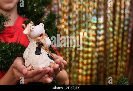 Figur einer Kuh in den Händen eines Jungen. Symbol des Jahres 2021. Auf goldenem Hintergrund. Stockfoto