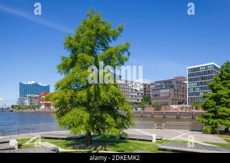 Grasbrookhafen mit Elbphilharmonie und Marco-Polo-Terrassen, HafenCity, Hamburg, Deutschland, Europa Stockfoto