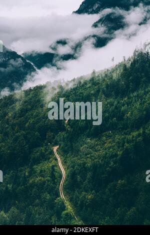 Österreich, Oberösterreich, Salzkammergut, Hallstatt, Waldlandschaft im Nebel, Stockfoto