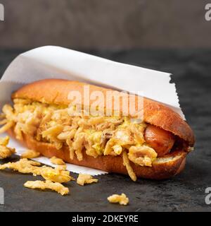 Hot Dog mit den knackigsten Zwiebeln gesunde Snacks zum Mitnehmen Mittagessen. Das Konzept Fast Food . Speicherplatz kopieren Stockfoto