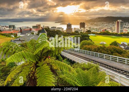 Blick über Wellington, Nordinsel, Neuseeland, Ozeanien Stockfoto