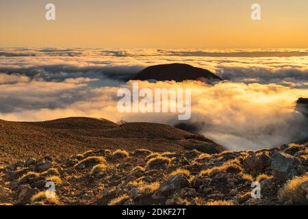 Blick vom Mt. Ngauruhoe zum Mt. Ruapehu bei Sonnenaufgang, Tongariro Nationalpark, UNESCO-Weltkulturerbe, Ruapehu, Nordinsel, Neuseeland, Ozeanien Stockfoto