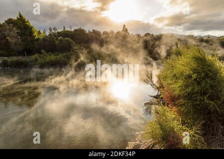 Kuirau Park, Geothermie, Rotorua, Bay of Plenty, Nordinsel, Neuseeland Stockfoto