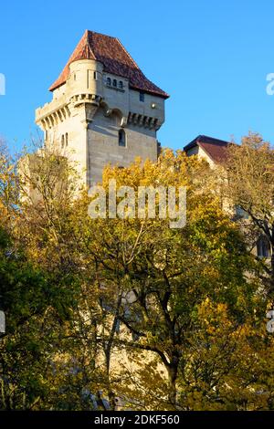 Maria Enzersdorf, Schloss Liechtenstein, Ursprungsort des Hauses Liechtenstein, Herbstblätter, Wienerwald, Niederösterreich, Österreich Stockfoto