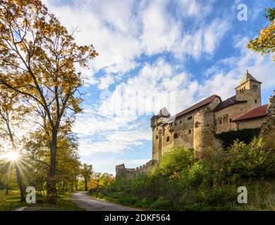 Maria Enzersdorf, Schloss Liechtenstein, Ursprungsort des Hauses Liechtenstein, Herbstblätter, Wienerwald, Niederösterreich, Österreich Stockfoto