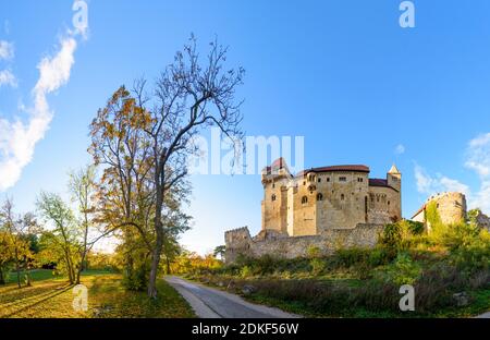 Maria Enzersdorf, Schloss Liechtenstein, Ursprungsort des Hauses Liechtenstein, Herbstblätter, Wienerwald, Niederösterreich, Österreich Stockfoto