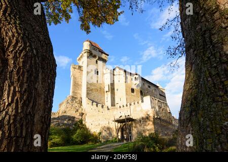 Maria Enzersdorf, Schloss Liechtenstein, Ursprungsort des Hauses Liechtenstein, Herbstblätter, Wienerwald, Niederösterreich, Österreich Stockfoto