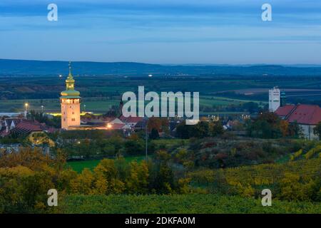 Retz, Stadt Retz mit Rathausturm, Weinberg, Weinviertel, Niederösterreich / Niederösterreich, Österreich Stockfoto