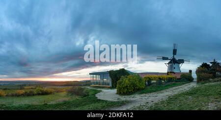 Retz, Windmühle, Weinrestaurant Windmühlheuriger, Weinviertel Region, Niederösterreich / Niederösterreich, Österreich Stockfoto