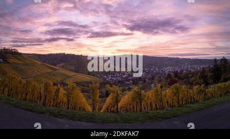 Blick von Stuttgart-Rotenberg auf die bunten Weinberge und Stuttgart-Uhlbach im Herbst. Stuttgart, Baden-Württemberg, Deutschland. Stockfoto