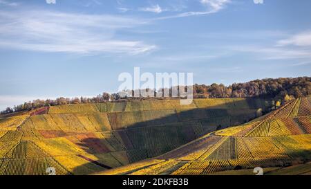 Blick von Stuttgart-Rotenberg auf die bunten Weinberge und Stuttgart-Uhlbach im Herbst. Stuttgart, Baden-Württemberg, Deutschland. Stockfoto