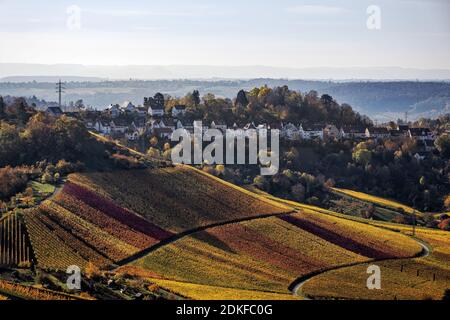 Blick Vom Kappelberg Mit Weinberg, Rotenberg Und Untertürkheim Im ...