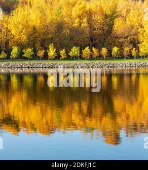 Farbenfroher Herbst. Gasse am Flussufer entlang im Hintergrund des Herbstparks. Reflexionen im Wasser des Waldes und des blauen Himmels. Stockfoto