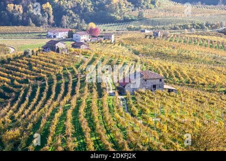 Ländliche Häuser und Gebäude zwischen den Weinbergen des Valdobbiadene Prosecco, UNESCO-Weltkulturerbe, Provinz Treviso, Venetien, Italien, Europa Stockfoto