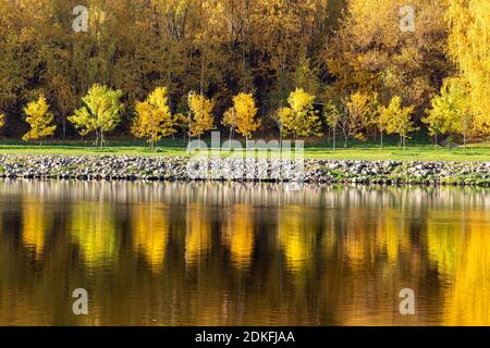 Farbenfroher Herbst. Gasse am Flussufer entlang im Hintergrund des Herbstparks. Reflexionen im Wasser des Waldes Stockfoto